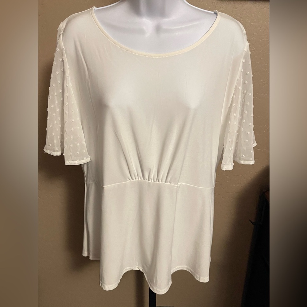 Darling Perception Concept Blouse W/Darling Sheer Like Sleeves